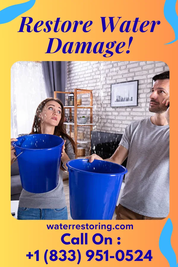 water restoration Horizon Disaster Recovery Inc Norcross
